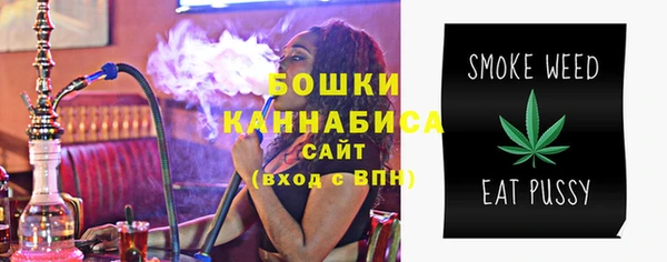 сатива Верея