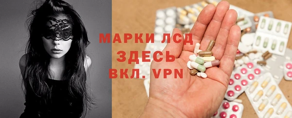 сатива Верея