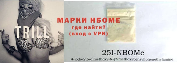 сатива Верея