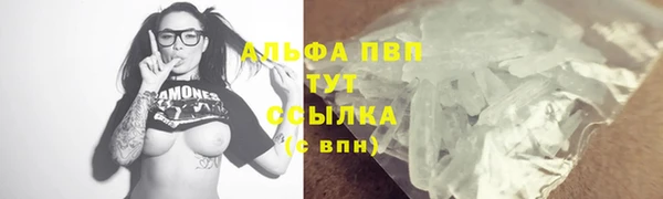 сатива Верея