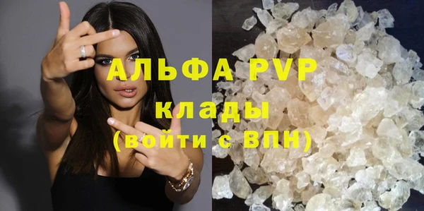 сатива Верея